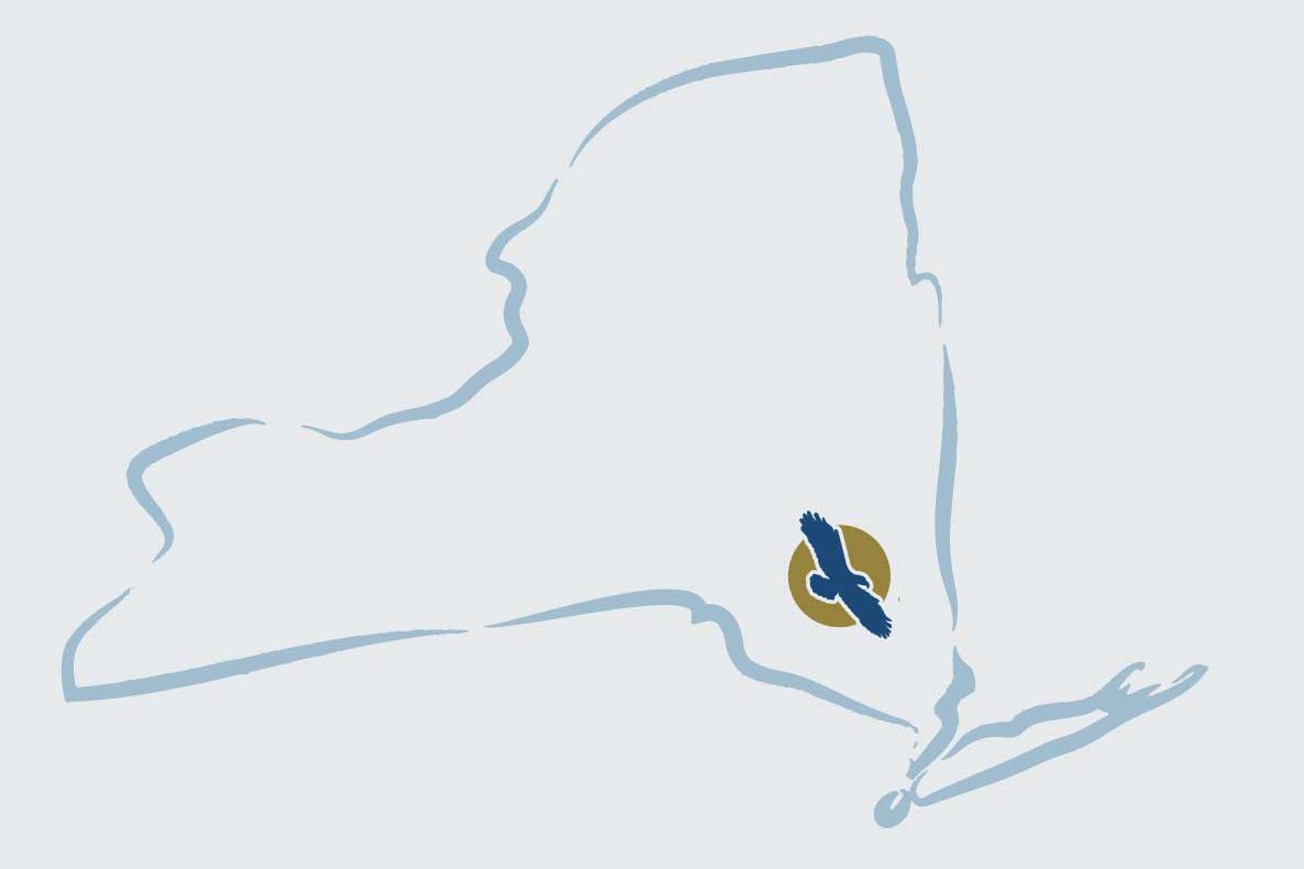 TEG map