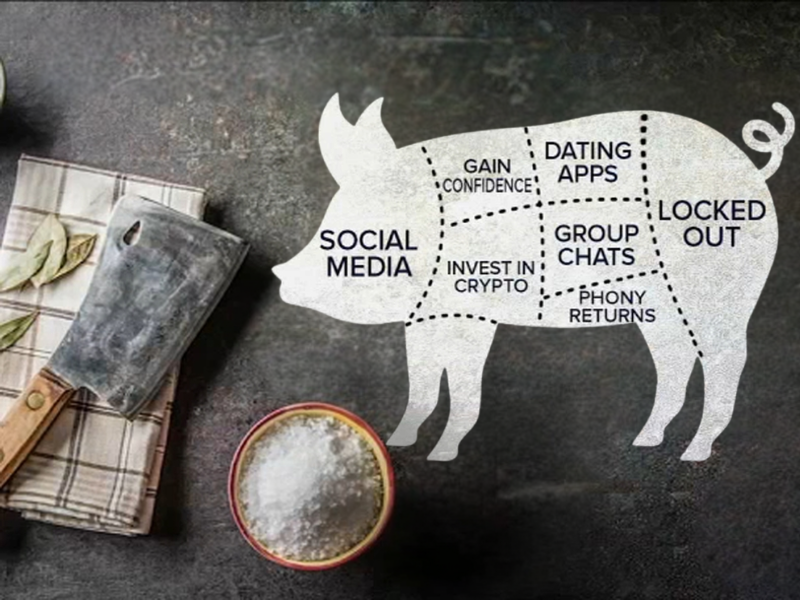 What is the Pig Butchering Scam?
